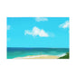 Nature's Beach Palette - Wall Art