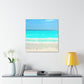Nature's Wonders - Wall Art