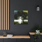 Nature Illuminated - Wall Art