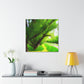 Whispering Pines - Wall Art